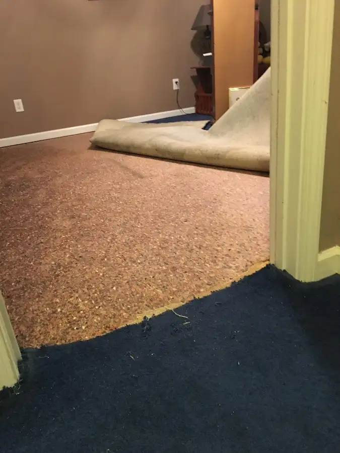 Carpet pad removal revealing water damage during Water Mitigation Services in Broadlands