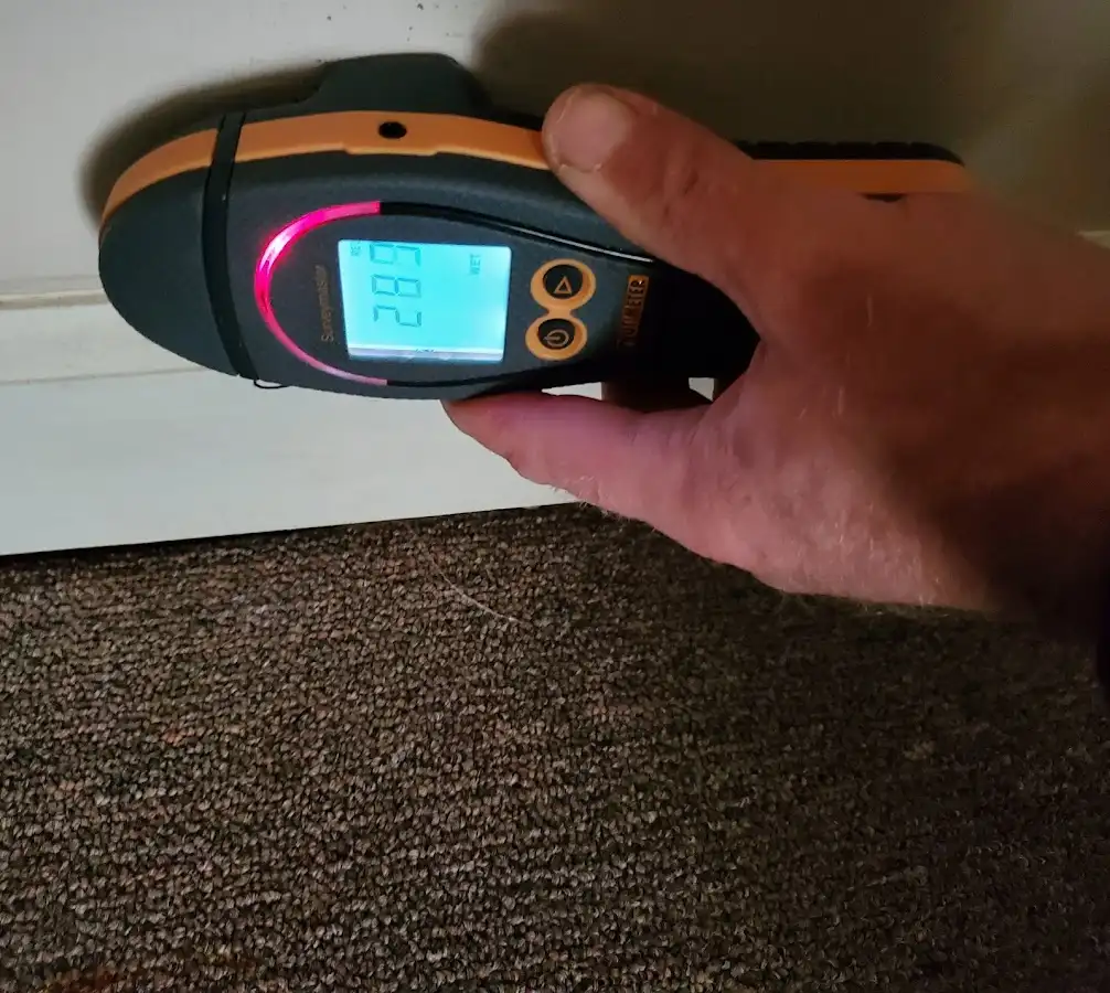 Moisture detection at baseboard during Sewage Cleanup & Sanitation in Broadlands